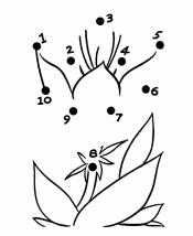 easy connect the dots worksheet