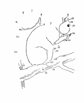 dot to dot worksheet