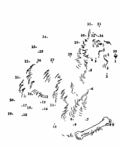 dot to dot worksheets