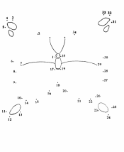 dot to dot worksheet